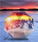 天堂伞 全遮光(UPF50+)丝光绒彩胶五折太阳伞晴雨伞31...